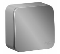 Выключатель с самовозвратом Schneider Electric Blanca BLNCA101013, ИЗОЛ.ПЛ., Алюминий