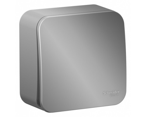 Выключатель с самовозвратом Schneider Electric Blanca BLNCA101013, ИЗОЛ.ПЛ., Алюминий