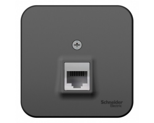 Компьютерная розетка  RJ45, кат. 5е Schneider Electric Blanca BLNIA045006, ИЗОЛ.ПЛ., Антрацит