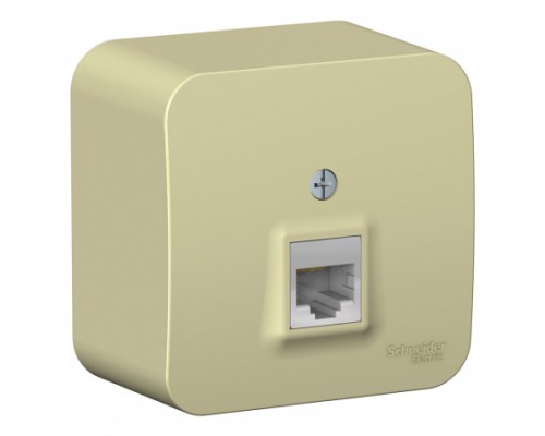 Компьютерная розетка  RJ45, кат. 5е Schneider Electric Blanca BLNIA045007, ИЗОЛ.ПЛ., Бежевый