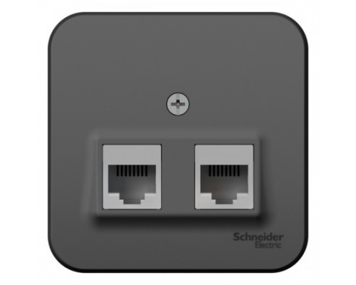 Компьютерная двойная розетка RJ45+RJ45 5E Schneider Electric Blanca BLNIA045456, ИЗОЛ.ПЛ., Антрацит