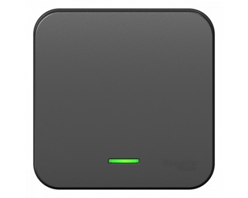 Переключатель 1-клавишный с подсветкой Schneider Electric Blanca BLNVA106116, ИЗОЛ.ПЛ., Антрацит