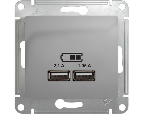 USB розетка 5В/2100мА, 2х5В/1050мА, Schneider Electric Glossa, GSL000333,  Алюминий