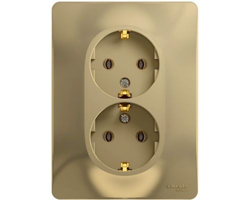 Розетка двойная с заземлением Schneider Electric Glossa, GSL000424, Титан