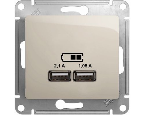 USB розетка 5В/2100мА, 2х5В/1050мА, Schneider Electric Glossa, GSL000933,  Молочный 