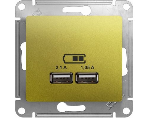 USB розетка 5В/2100мА, 2х5В/1050мА, Schneider Electric Glossa, GSL001033,  Фисташковый
