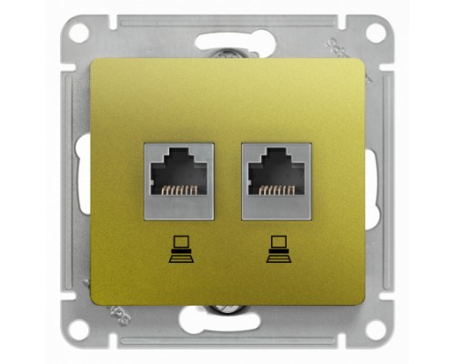 Компьютерная двойная розетка RJ45+RJ45 5E Schneider Electric Glossa, GSL001085KK,  Фисташковый