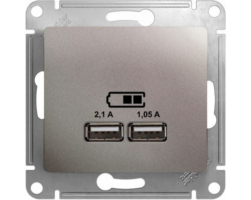 USB розетка 5В/2100мА, 2х5В/1050мА, Schneider Electric Glossa, GSL001233,  Платина