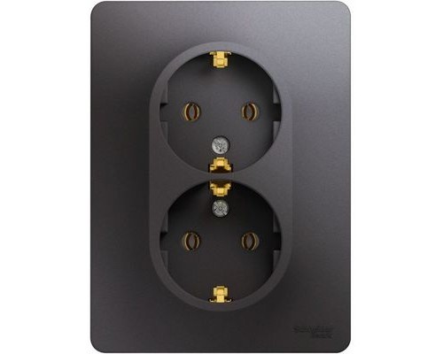 Розетка двойная с заземлением Schneider Electric Glossa, GSL001324, Графит