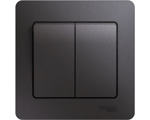 Выключатель 2-клавишный в сборе Schneider Electric Glossa, GSL001352, Графит