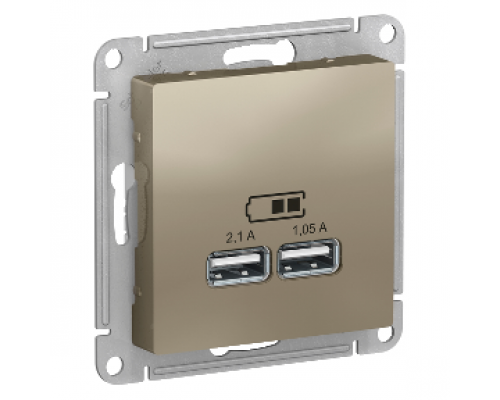 USB розетка Schneider Electric AtlasDesign ATN000533, Шампань