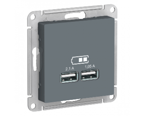 USB розетка Schneider Electric AtlasDesign ATN000733, Грифель