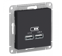 USB розетка Schneider Electric AtlasDesign ATN001033, Карбон