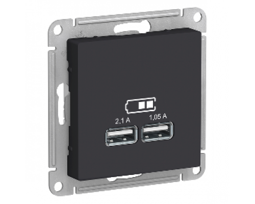 USB розетка Schneider Electric AtlasDesign ATN001033, Карбон