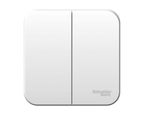 Выключатель 2-клавишный Schneider Electric Blanca BLNVA105011, ИЗОЛ.ПЛ., Белый