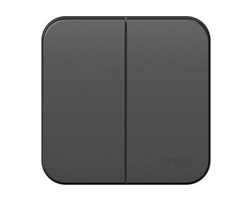 Выключатель 2-клавишный Schneider Electric Blanca BLNVA105016, ИЗОЛ.ПЛ., Антрацит