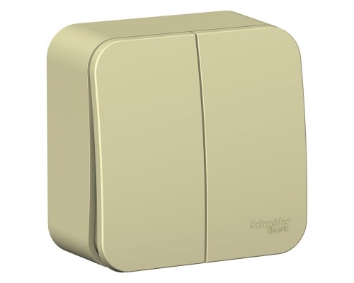 Выключатель 2-клавишный Schneider Electric Blanca BLNVA105017, ИЗОЛ.ПЛ., Бежевый