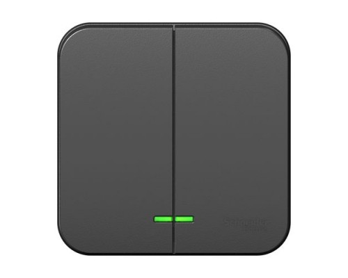 Выключатель 2-клавишный с подсветкой Schneider Electric Blanca BLNVA105116, ИЗОЛ.ПЛ., Антрацит