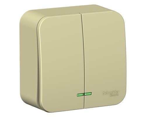 Выключатель 2-клавишный с подсветкой Schneider Electric Blanca BLNVA105117, ИЗОЛ.ПЛ., Бежевый