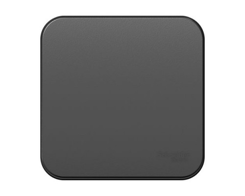 Переключатель 1-клавишный Schneider Electric Blanca BLNVA106016, ИЗОЛ.ПЛ., Антрацит