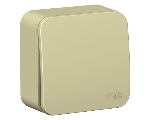 Переключатель 1-клавишный Schneider Electric Blanca BLNVA106017, ИЗОЛ.ПЛ., Бежевый